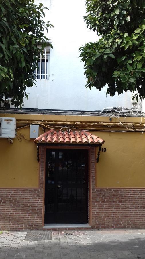 Apartamento Arbol De Vida - Cerca Estadio Cartuja Sevilla Bagian luar foto